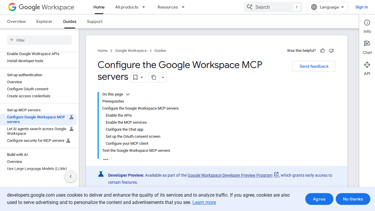 Google Workspace MCP configuration — official developer docs